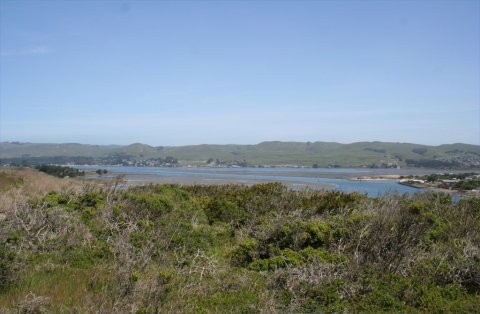 Bodega Bay