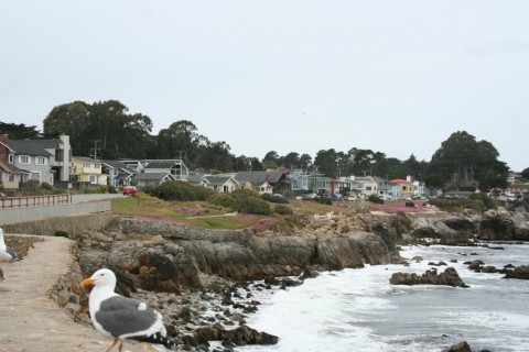 Pacific Grove