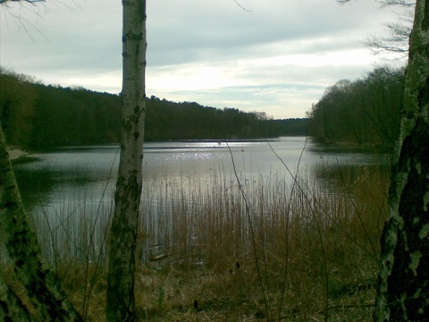 Krumme Lanke Krumme Lanke