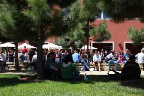 Lunch - UCSF Campus