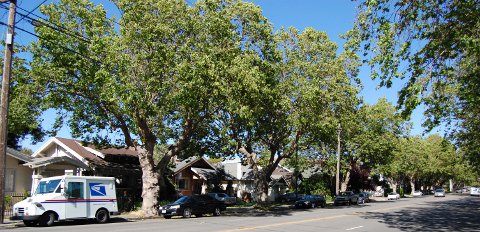 Noch eine typische Strasse in Alameda