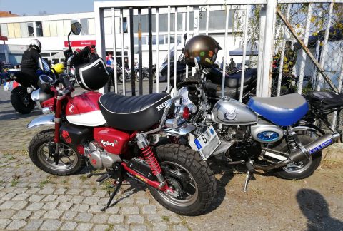 Aktuelle Honda Monkey (rot) neben älterer Honda Gorilla